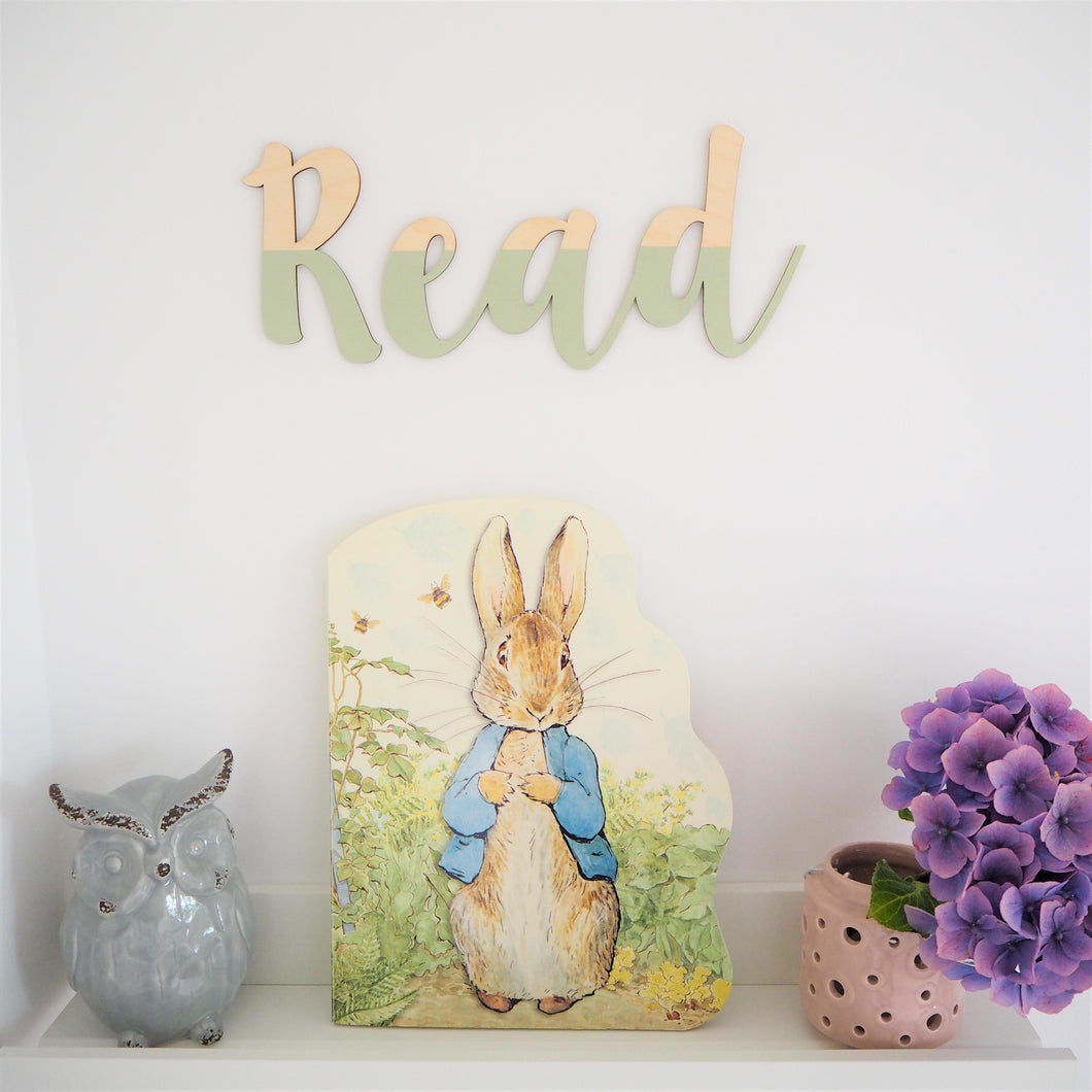 Painted Wooden Read Wall Lettering